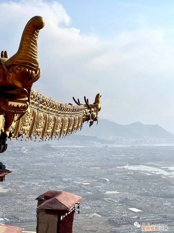 谷雨｜前世的花间一壶酥油茶 请喝一杯酥油茶