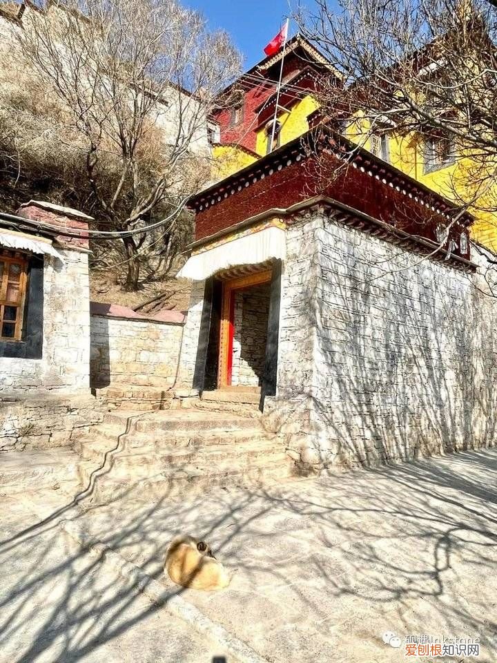 谷雨｜前世的花间一壶酥油茶 请喝一杯酥油茶