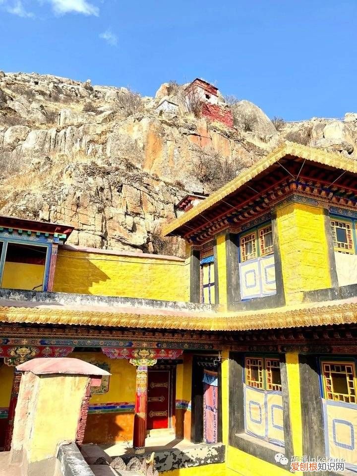 谷雨｜前世的花间一壶酥油茶 请喝一杯酥油茶