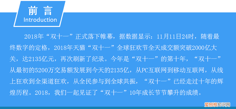 “双十一”网购大数据分析报告 网购分析报告