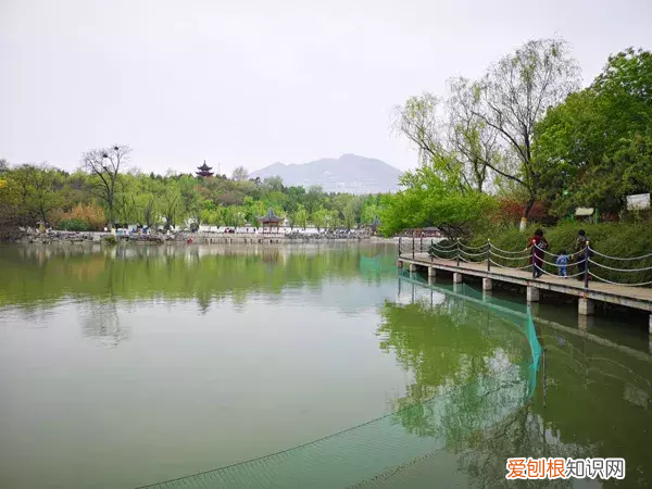 这些才是北京端午小长假该去的地方！ 北京端午节去哪玩