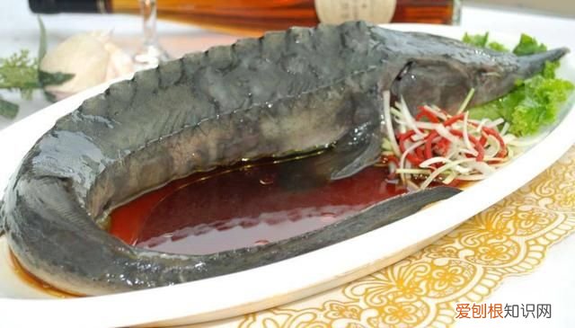 鲟鱼5种最好吃的做法 鲟鱼怎么做好吃