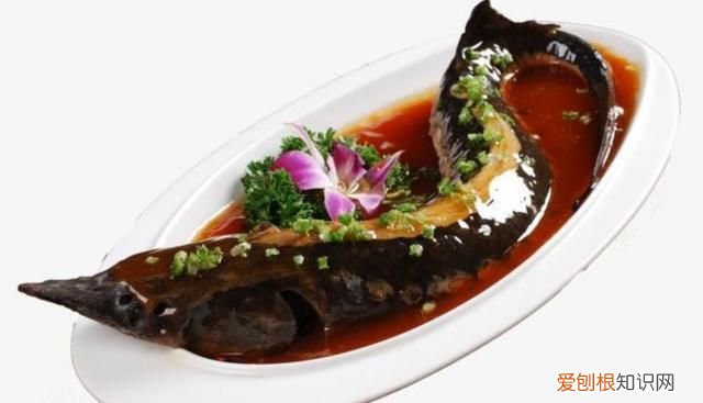 鲟鱼5种最好吃的做法 鲟鱼怎么做好吃