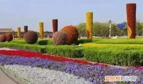 祝大家八一建军节快乐 八一快乐