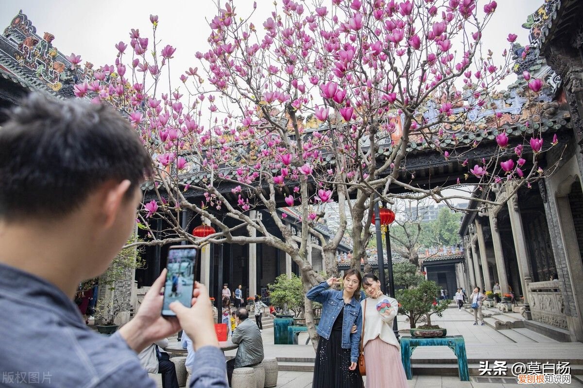 广州必玩羊城八景古祠留芳陈家祠 陈家祠好玩吗