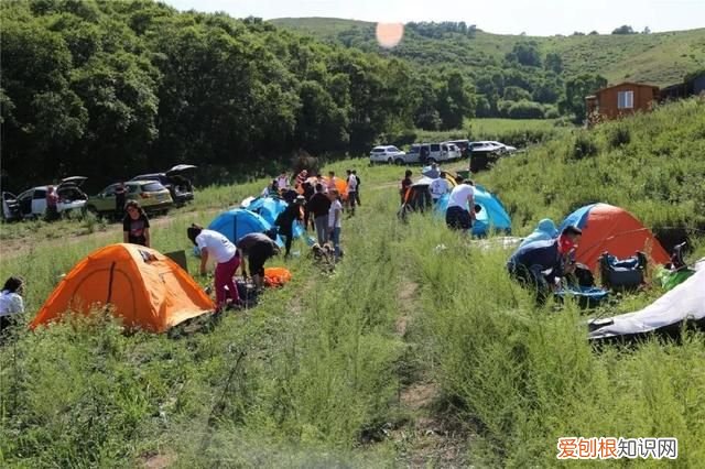 野炊、露营、星空，这才是夏天最正确的玩法 野炊露营