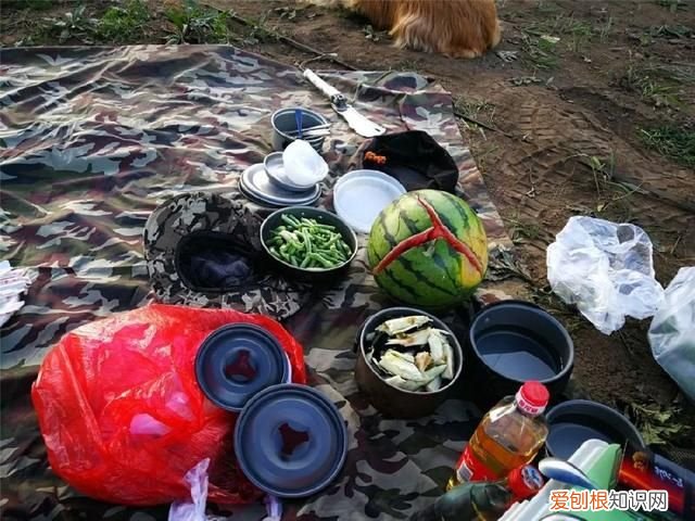 野炊、露营、星空，这才是夏天最正确的玩法 野炊露营