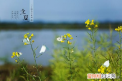 今日立夏，为何立夏节气要吃鸡蛋 立夏为什么要吃蛋