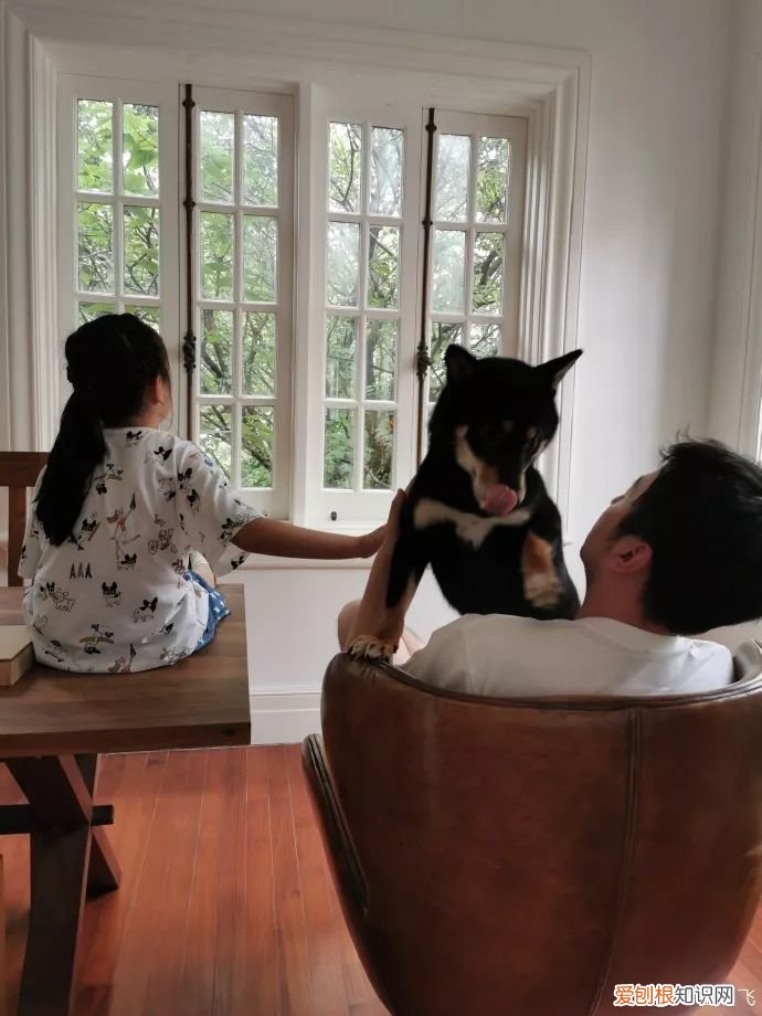 佟丽娅与雷佳音传绯闻 雷佳音佟丽娅