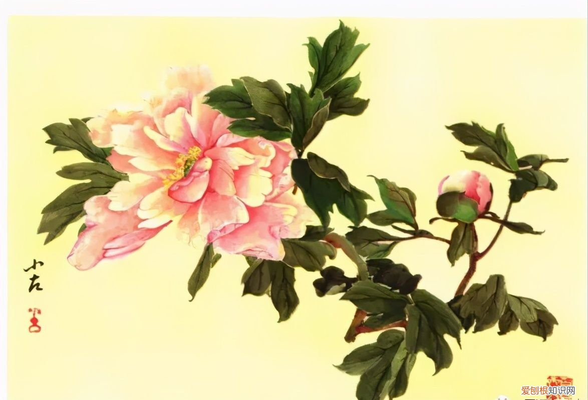 牡丹画谱，花开富贵 牡丹花谱