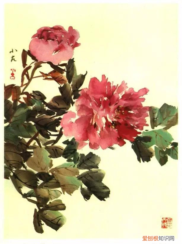 牡丹画谱，花开富贵 牡丹花谱