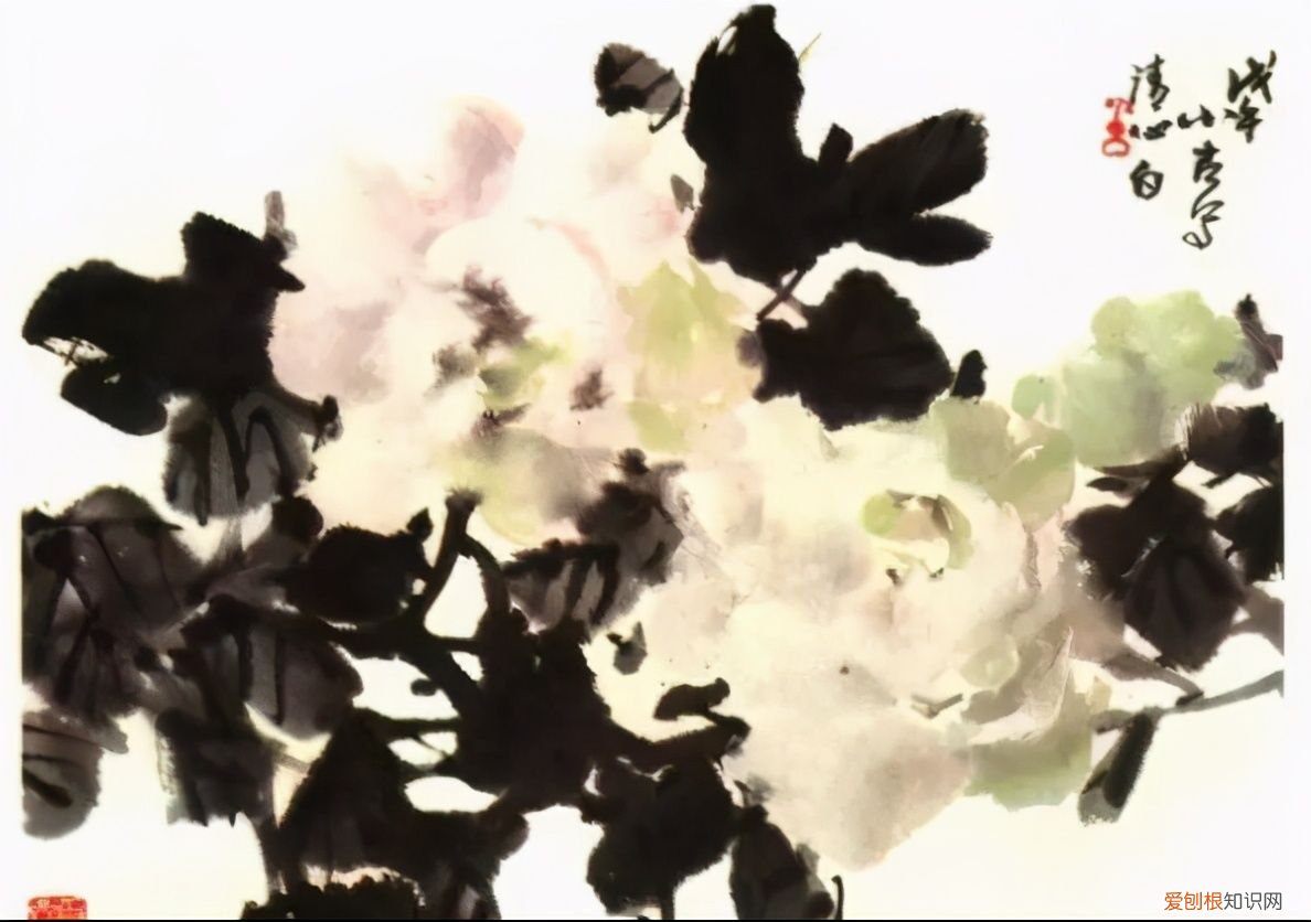 牡丹画谱，花开富贵 牡丹花谱