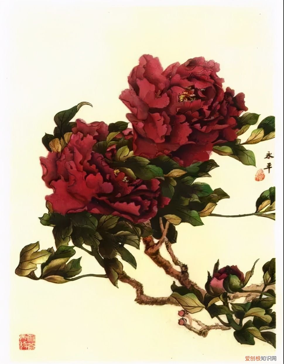 牡丹画谱，花开富贵 牡丹花谱