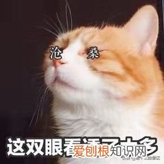 明朝普通话知多少？ 明朝官话