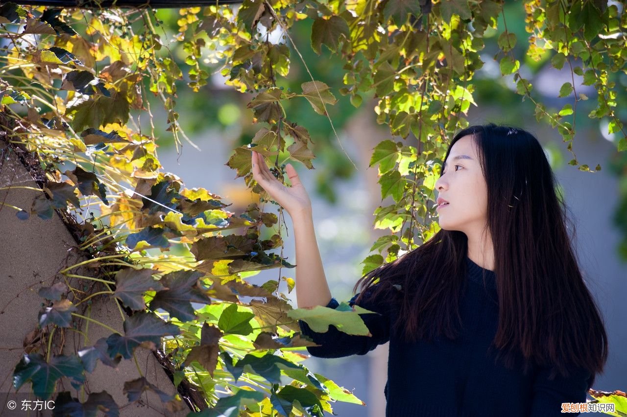 动听的歌曲《这样爱你对不对》 这样爱你到底对不对