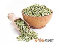 小茴香怎么吃？ 小茴香的吃法