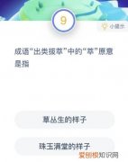 成语出类拔萃什么意思？ 出类拔萃的萃