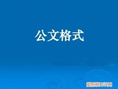 公文格式15种文体及范文 决定的格式