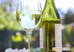 白葡萄酒最适宜的正确喝法？ 白葡萄酒的喝法