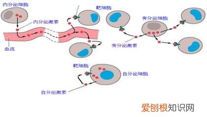 眼角下面长斑怎么回事 眼角下长斑