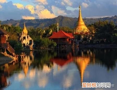 懂了什么是胞波情 胞波是什么意思