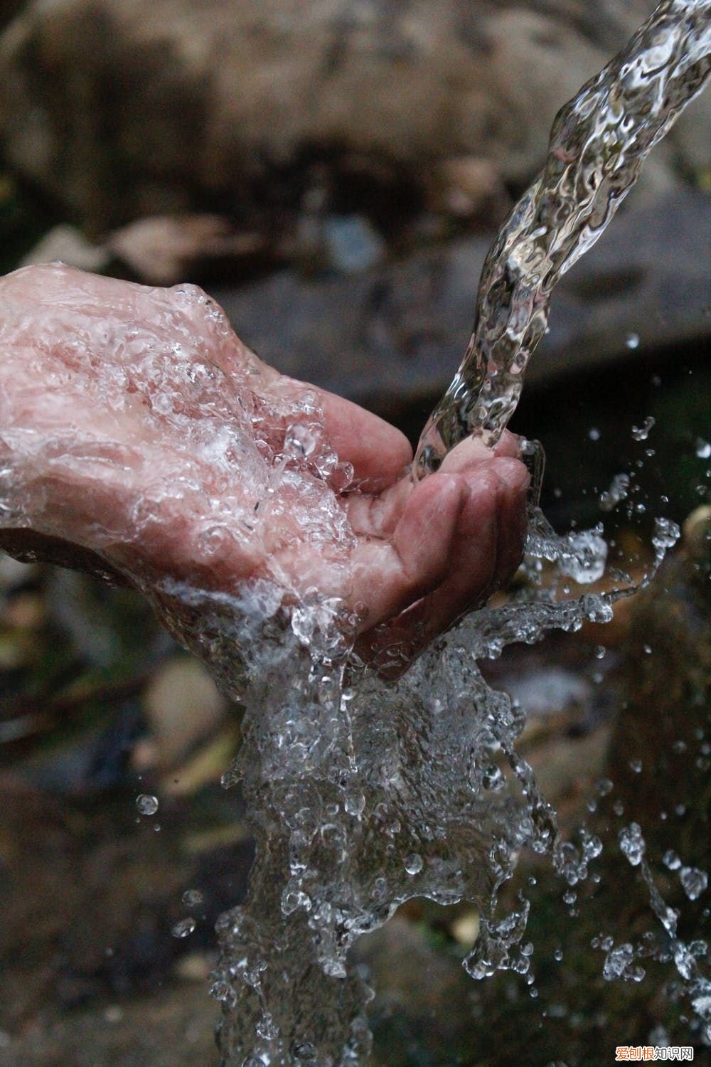 水质分析中重金属检测技术 水质重金属分析