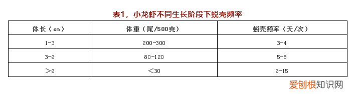 关于小龙虾养殖你应该知道的 龙虾养殖业