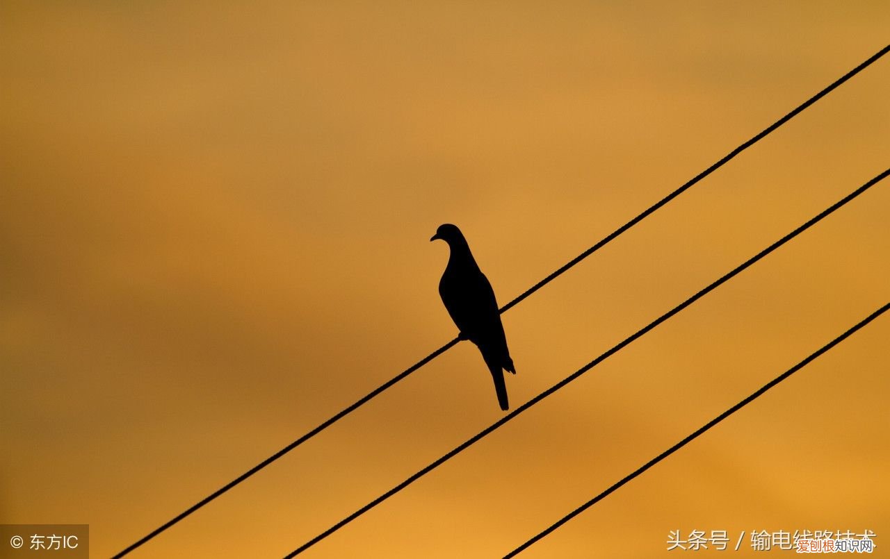 电力同轴接地电缆 同轴电缆型号