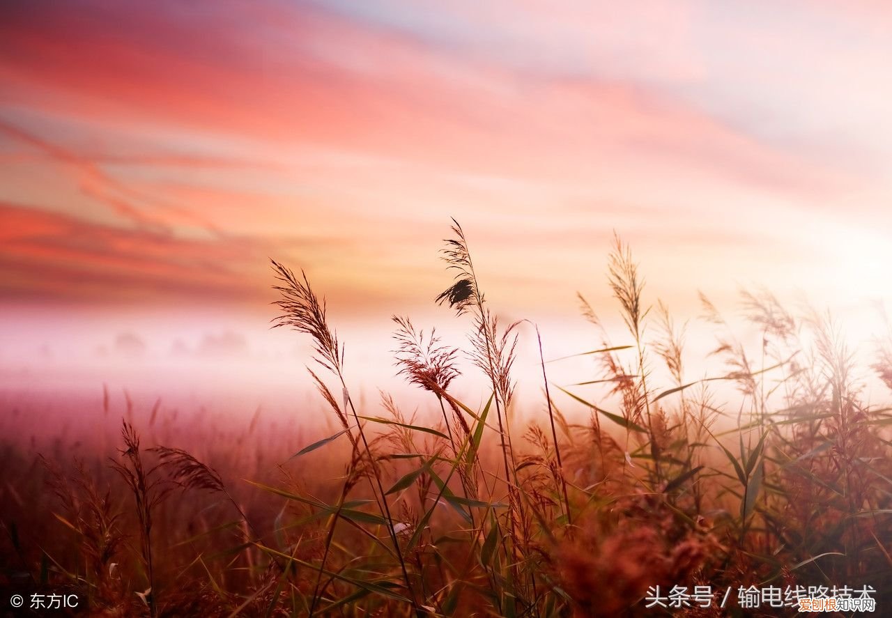 电力同轴接地电缆 同轴电缆型号