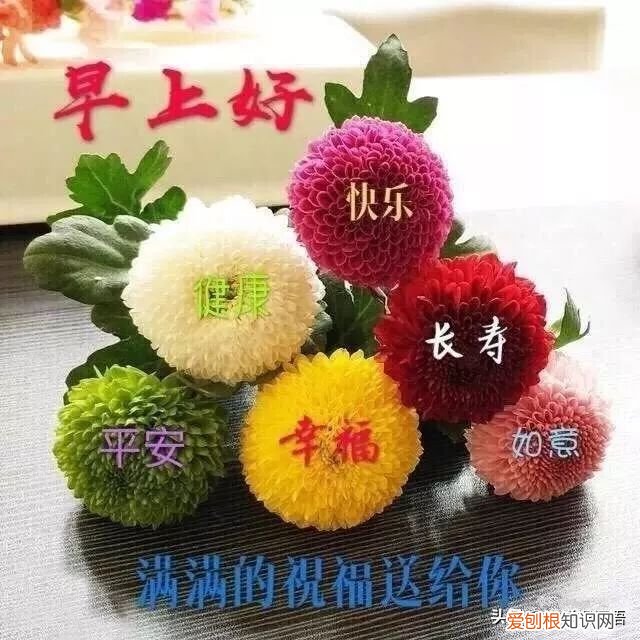 最新早上好问候祝福语短信 早上好问候语图片