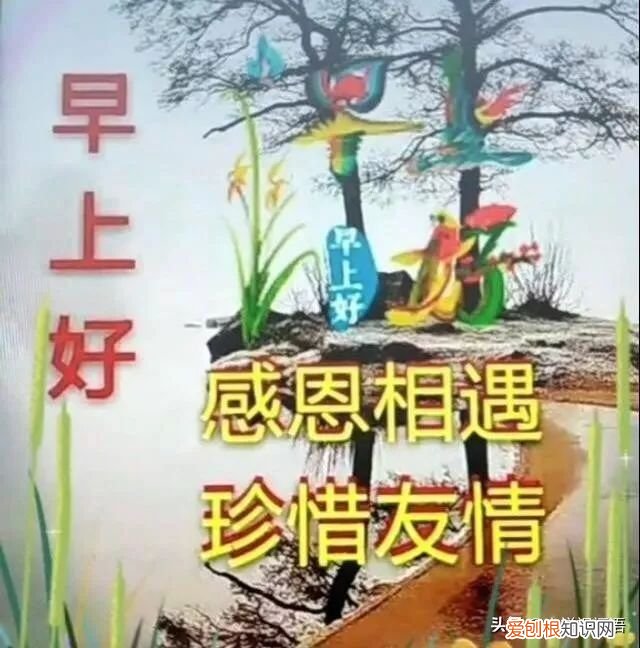 最新早上好问候祝福语短信 早上好问候语图片