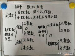 初中数学之数的分类 数的分类