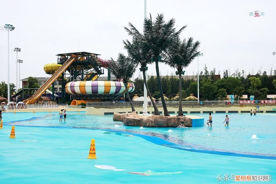 探索上海4大热门水上乐园开园时间 上海水上乐园有哪些