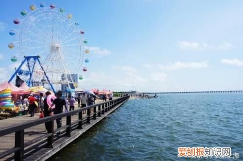 探索上海4大热门水上乐园开园时间 上海水上乐园有哪些