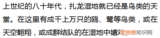 这里是扎龙，丹顶鹤的故乡 丹顶鹤的故乡