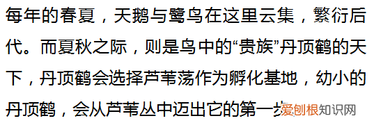 这里是扎龙，丹顶鹤的故乡 丹顶鹤的故乡