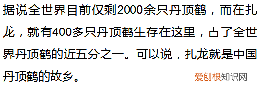 这里是扎龙，丹顶鹤的故乡 丹顶鹤的故乡