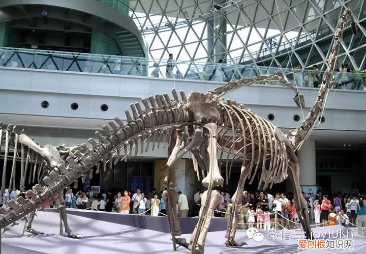 上海25家亲子活动场馆 上海活动场地