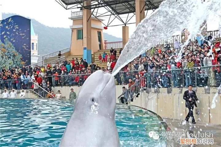 上海25家亲子活动场馆 上海活动场地