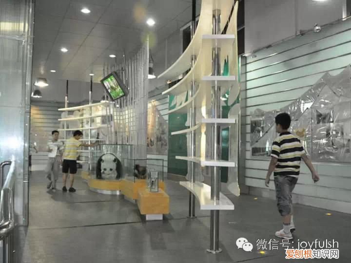 上海25家亲子活动场馆 上海活动场地