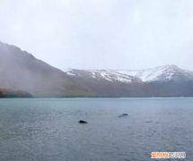 新疆喀纳斯湖水怪(喀纳斯湖水怪终于被证实）