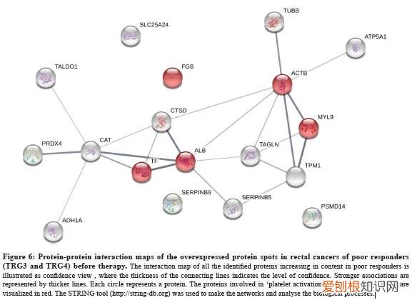 蛋白质组学研究，这篇够经典！ 蛋白组学分析