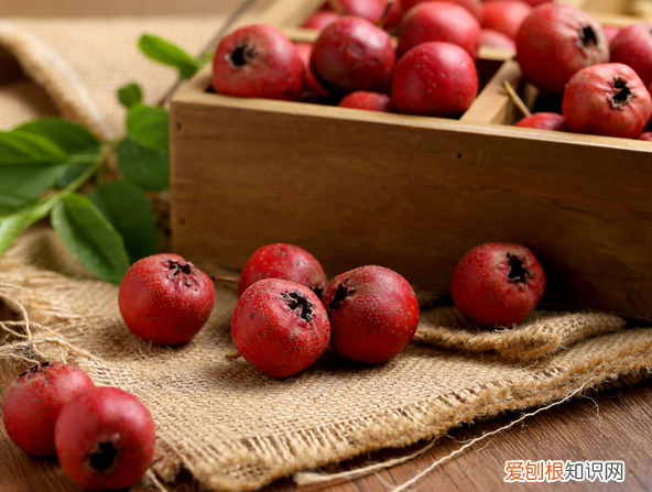 失眠食疗方10招 治疗失眠食疗法