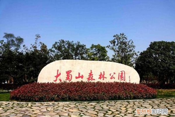 合肥旅游必去的8大景点 合肥有什么好玩的地方