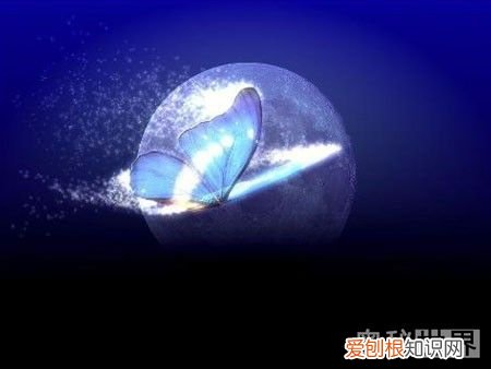 蝴蝶效应是什么意思 什么是蝴蝶效应