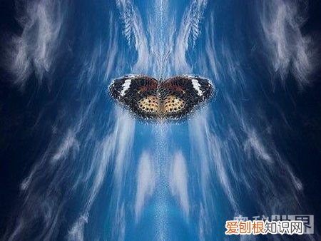 蝴蝶效应是什么意思 什么是蝴蝶效应