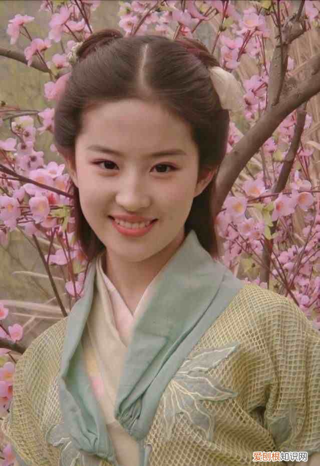 电影《花木兰》观后感400字 花木兰观后感