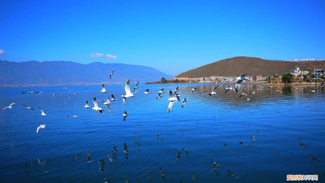 云南为什么简称 云南省简称