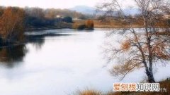 七言律诗的平仄格式有几种? 七律平仄