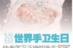 5月5日跟10月15都是洗手日吗